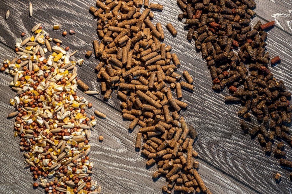 Animal Feed Ingredients