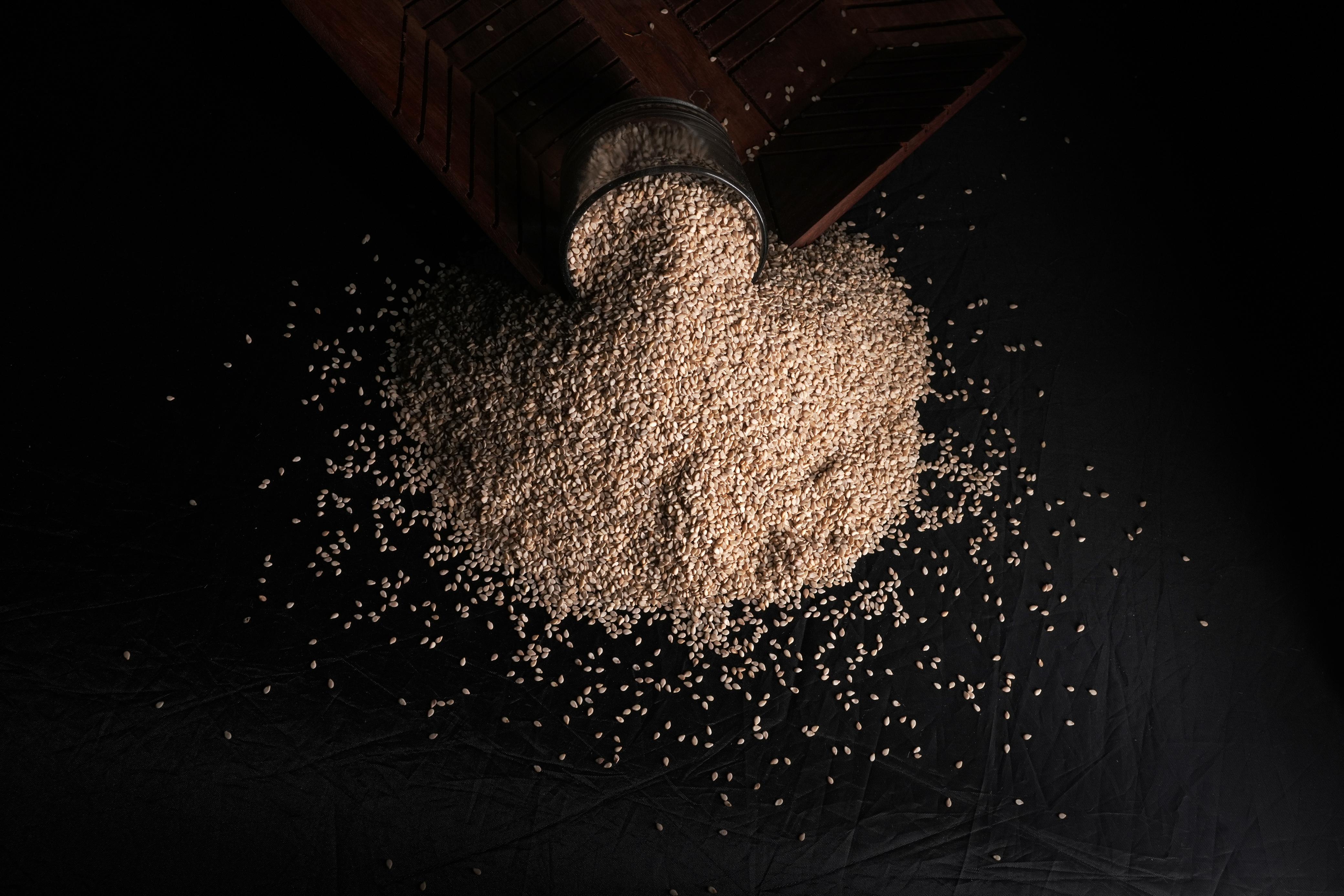 Sesame Seeds — Natural (De-hulled)
