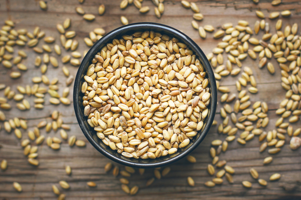 Wheat
